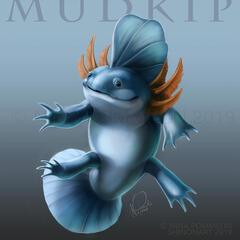 Mudkip