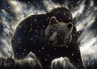 Bear