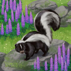 Common Skunk