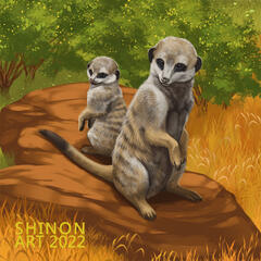 Meerkat